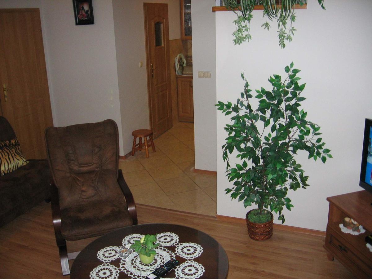 דז'ווירז'ינו Apartament Zuzia מראה חיצוני תמונה